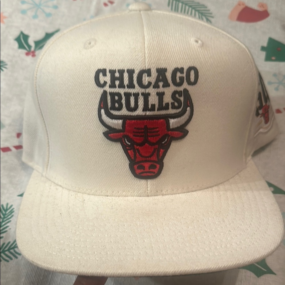 Chicago bulls